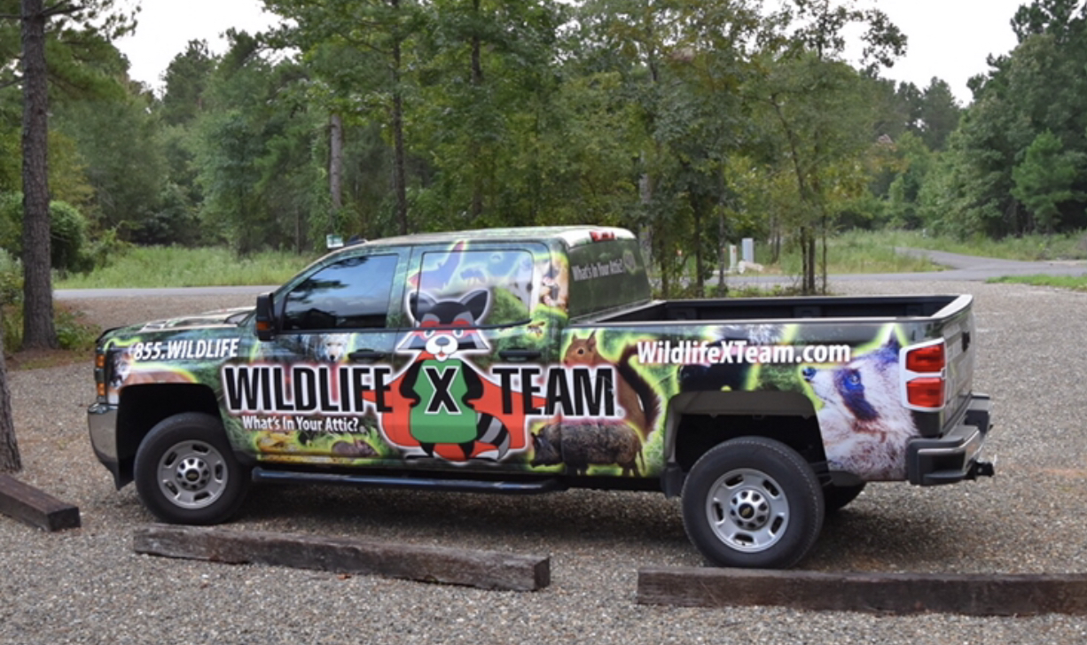 Wildlife X Team® Fort Worth Truck. Wildlife Removal