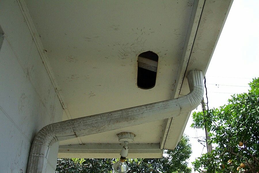 Ft. Worth TX Squirrel Prevention Method on Roof